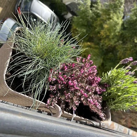 Admiral Bed and breakfast 3*