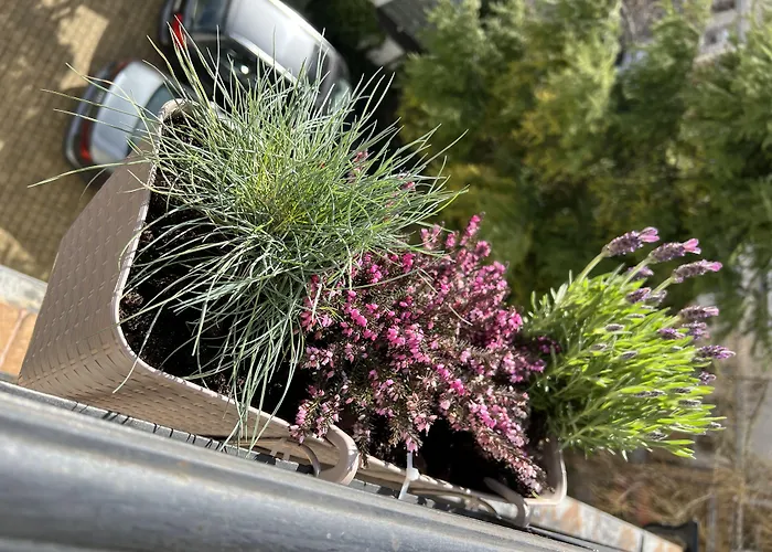 Admiral Nocleg ze śniadaniem 3*